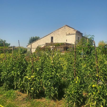Hotel Au Mas De Janita Cahuzac-sur-Vère Exteriér fotografie