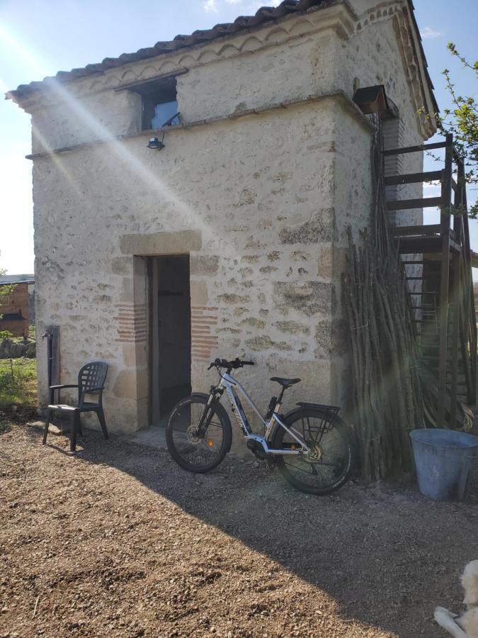 Hotel Au Mas De Janita Cahuzac-sur-Vère Exteriér fotografie