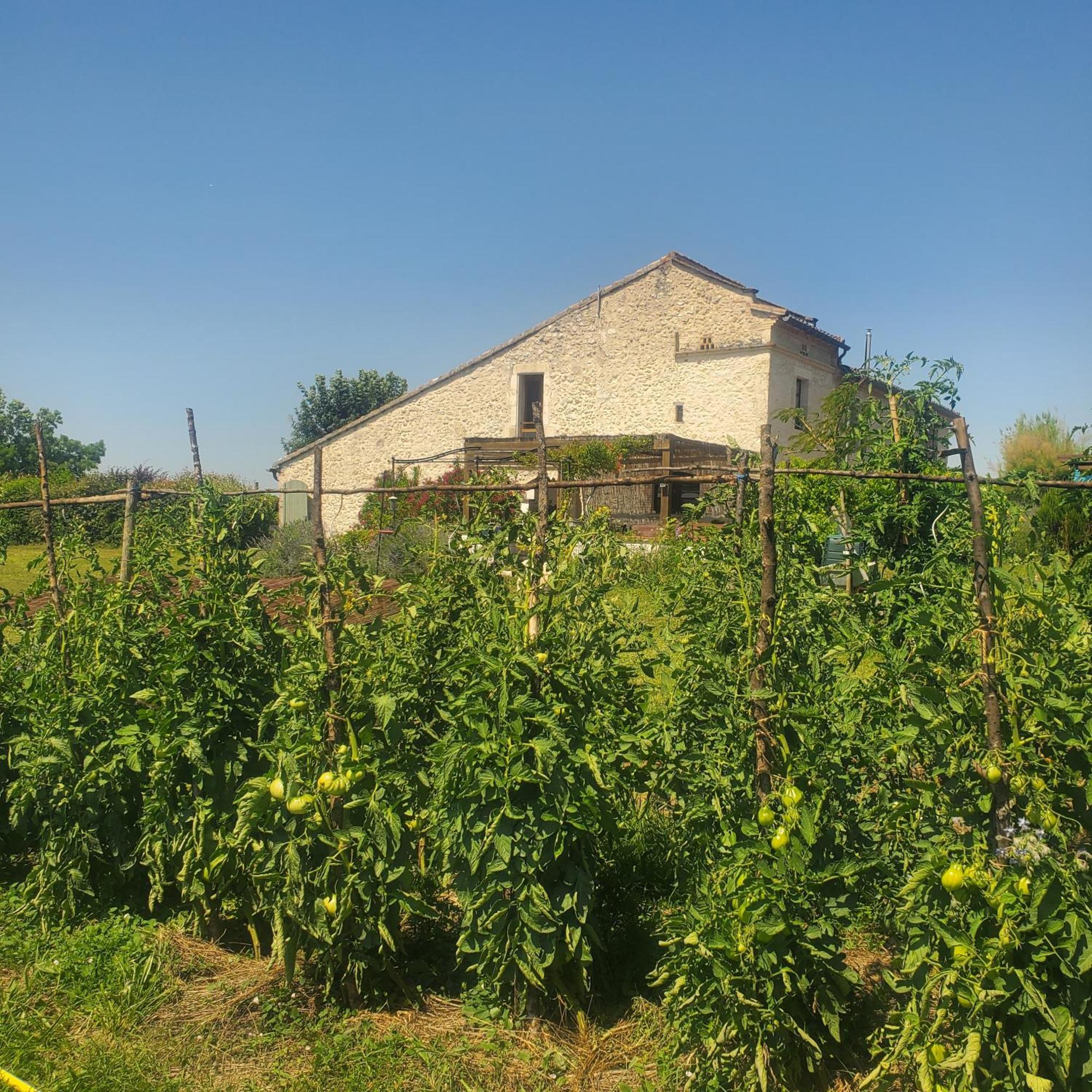 Hotel Au Mas De Janita Cahuzac-sur-Vère Exteriér fotografie